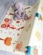 Детский складной развивающий термо коврик EVA Медвежонок  (120 х 180 см)  фото 4 из 5
