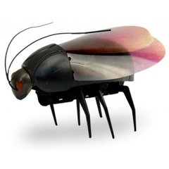 Животные жук люминисцентный 775 (930308) фото 1