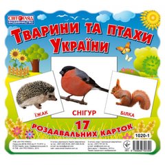 Детские развивающие карточки "Животные и птицы Украины" 13107008, 17 карточек в наборе фото 1